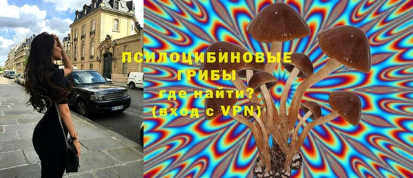 каннабис Михайловка