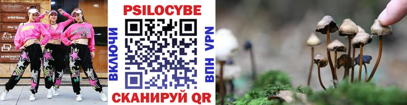 Галлюциногенные грибы прущие грибы  где купить наркоту  Мирный 