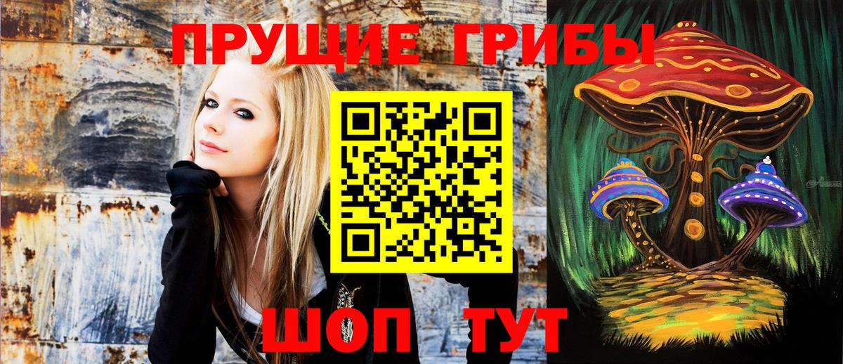 Псилоцибиновые грибы Psilocybe Мирный