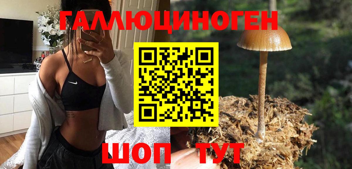 Мирный  Галлюциногенные грибы MAGIC MUSHROOMS  как найти закладки  Вход с VPN 
