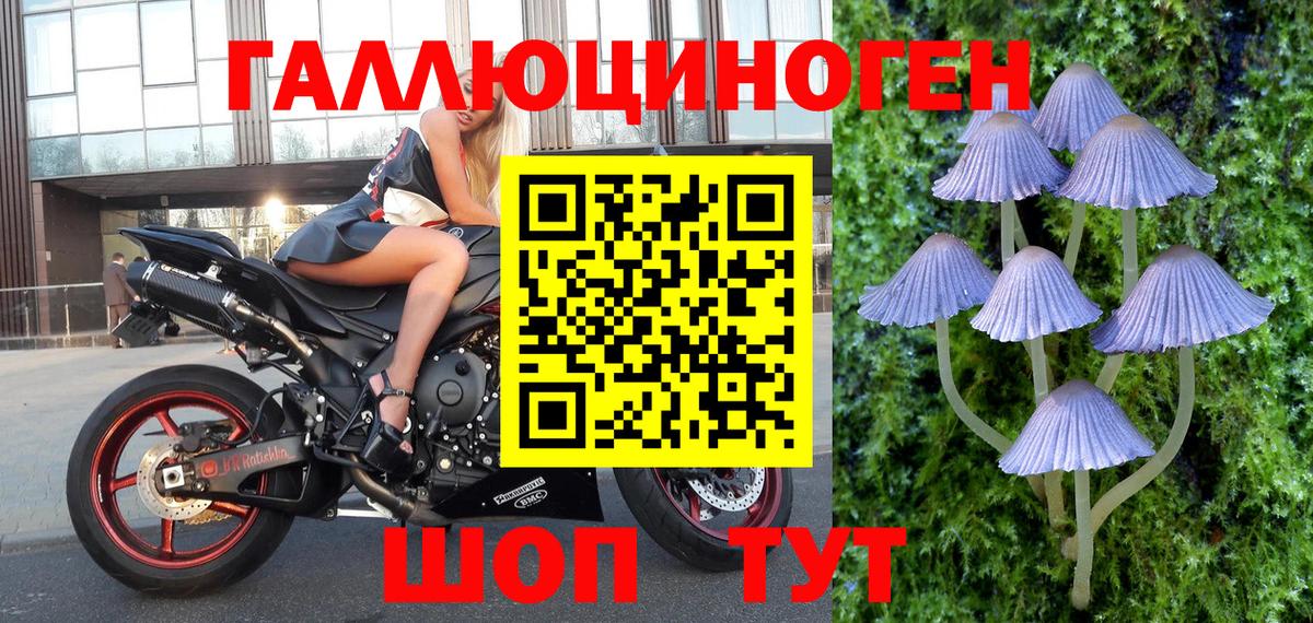 Псилоцибиновые грибы Magic Shrooms Мирный